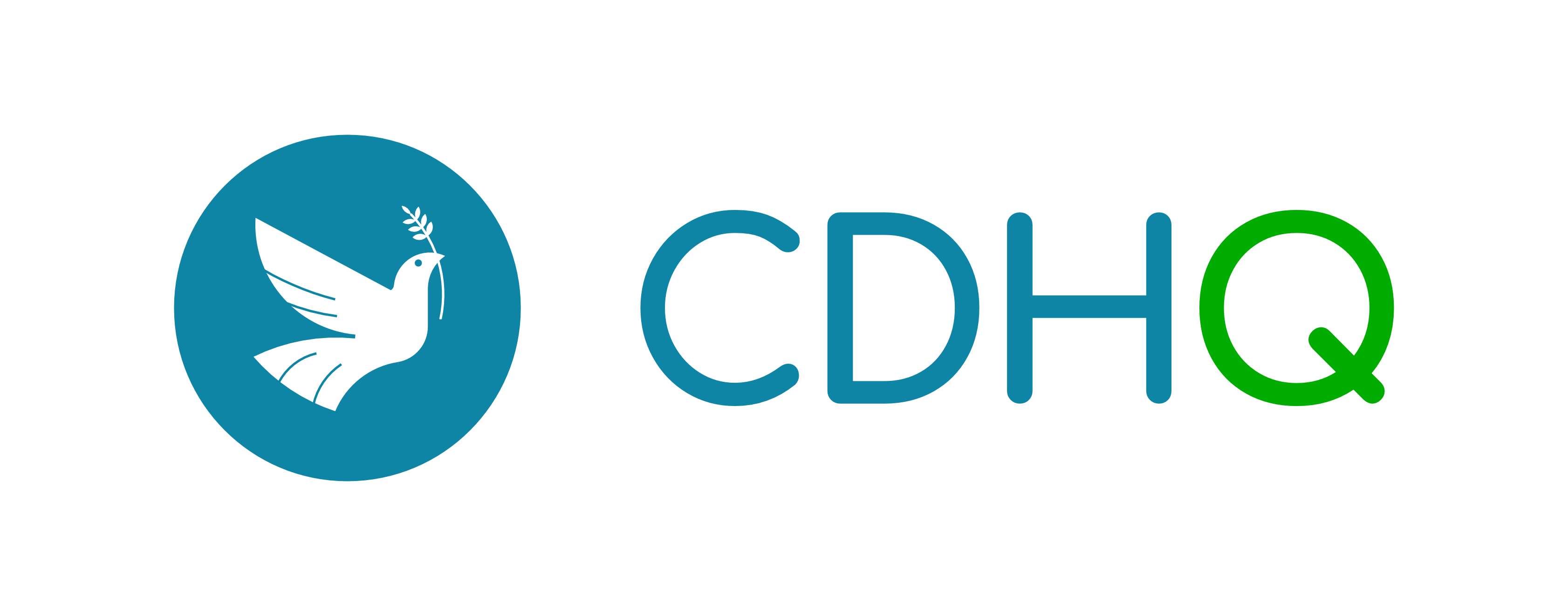Consejo de Derechos Humanos Querétaro